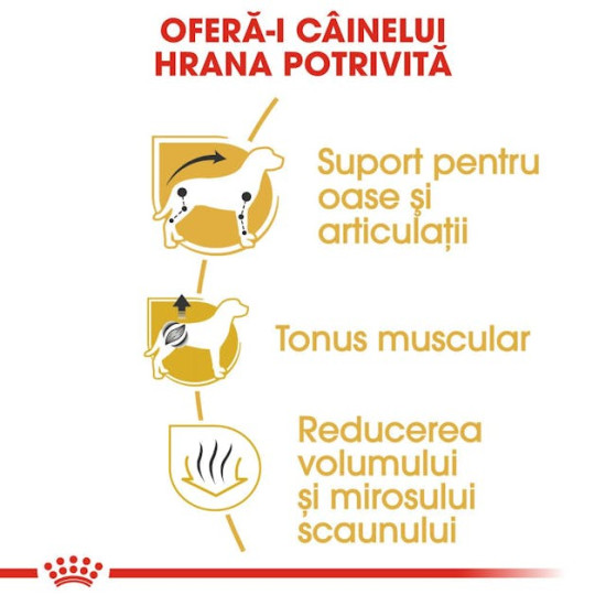 Royal Canin Dachshund Adult – Hrană Uscată pentru Câini Adulți din Rasa Teckel (Dachshund) – 1,5 kg